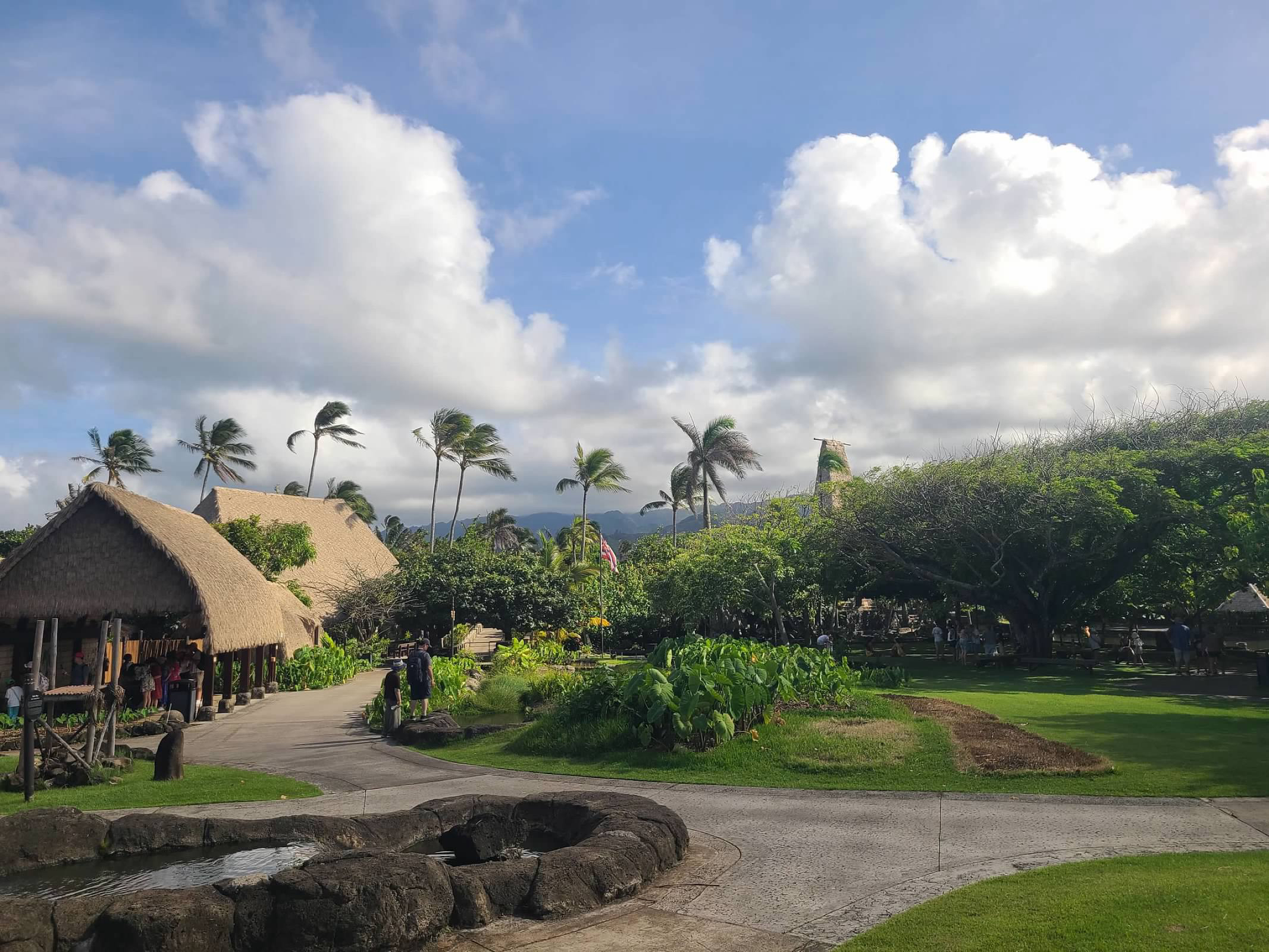 Kanuha Family Oahu Trip Video Thumbnail